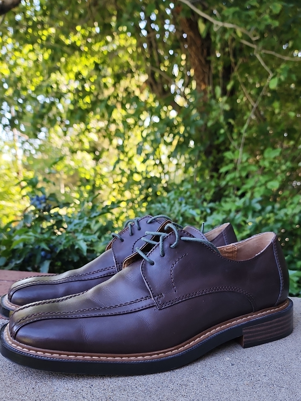 Skechers Classic Men's Brown Leather Lace-Up Dress Shoes